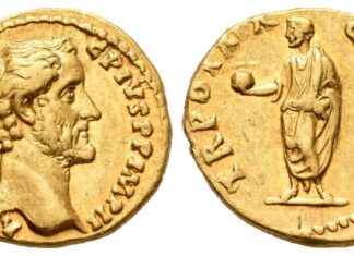 Tauler & Fau Subastas