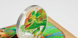 Magnificent Life 2020 – Chameleon