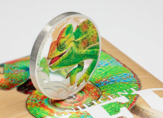 Magnificent Life 2020 – Chameleon