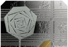 Latvia Remembers 1960s Modernism on Coin