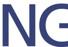 The Partrick Collection: Two Brasher Doubloons and much More