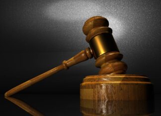 Hobbyists Sue Minnesota for Discriminating Coin Collectors