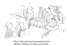 Our Cartoon: Franklin’s World