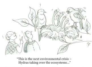 Our Cartoon: Franklin’s World