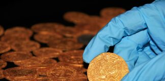 Treasures in British Gardens: Troves of 2020