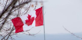 Bullion Produces Profits for the Royal Canadian Mint