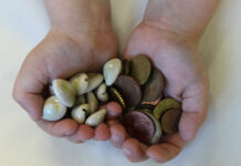 A Numismatist’s Guide to Money Part 3: The Origins of Money