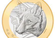 “Fox” Concludes “Swiss Forest Animals” Series