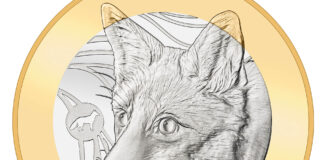 “Fox” Concludes “Swiss Forest Animals” Series