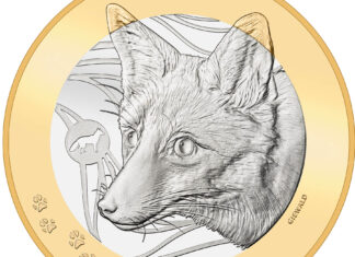 “Fox” Concludes “Swiss Forest Animals” Series