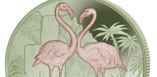 Flamingo Appears on Pobjoy’s New Bi-Coloured Titanium Coin