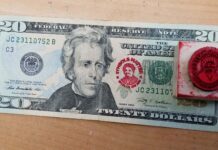 A Former Slave Instead of a Slave Owner? – News in the Case of the 20 Dollar Banknote