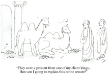 Our Cartoon: Franklin’s World