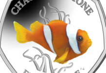 Chagos Anemone Fish Starts Pobjoy’s New Sea Creatures Series