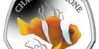 Chagos Anemone Fish Starts Pobjoy’s New Sea Creatures Series