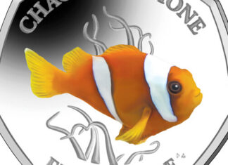 Chagos Anemone Fish Starts Pobjoy’s New Sea Creatures Series