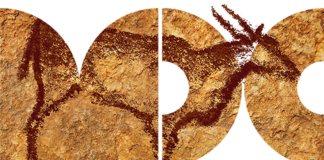 What will happen to the MDC Conference?