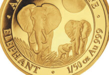 Rare Error Coins Emerge from Somalia Elephant Series