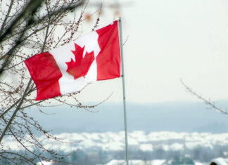 Royal Canadian Mint Annual Report 2020