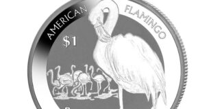 Pobjoy’s New Flamingo Bullion Coins