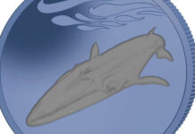 Pobjoy Issues Bi-Colour Titanium Coin “Fin Whale”