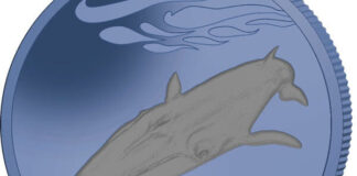 Pobjoy Issues Bi-Colour Titanium Coin “Fin Whale”