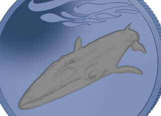 Pobjoy Issues Bi-Colour Titanium Coin “Fin Whale”