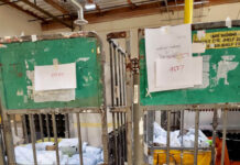 Over 40,000 Fake US Coins Seized