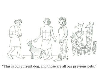 Our Cartoon: Franklin’s World