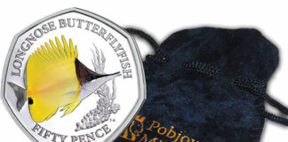 Pobjoy’s Yellow Longnose Butterflyfish