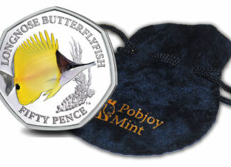 Pobjoy’s Yellow Longnose Butterflyfish