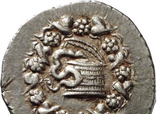 Numismatic Puzzle: Snake Basket