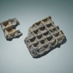 03-csm_image-5_e276508937