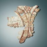 04-csm_image-4_50158093a4