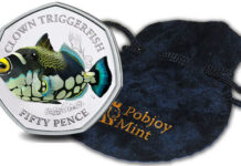 Pobjoy’s Clown Triggerfish Concludes Sea Creatures Series