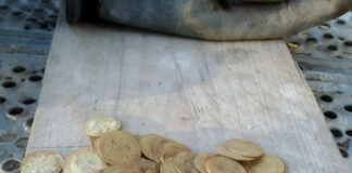 A Dream Come True: Craftsmen Discover Hidden Treasure of Gold Coins
