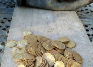A Dream Come True: Craftsmen Discover Hidden Treasure of Gold Coins