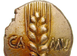Numismatic Puzzle: Cunobelinus