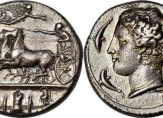 “A World Class Collection”: the Lottie Salton Collection