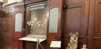Euro Coins with Animal Designs at Eesti Pank Museum