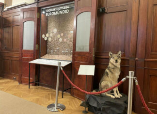 Euro Coins with Animal Designs at Eesti Pank Museum
