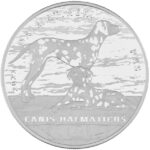 08b_HR-2021-10_hrk-DalmatianDog-Rev