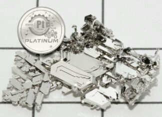 “Platinum”: First Swiss Platinum Commemorative Coin