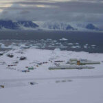 02-Rothera_from_reptile