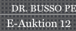 E-Auktion Online-Banner DE 822×62