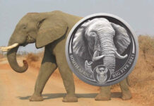 South African Mint Launches Big Five Series II