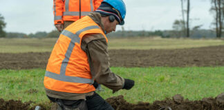 A Coin Treasure or an Offering to the Gods?