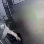 02hollytrees-museum—still-image-1