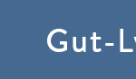 Gut-Lynt-5-Banner-Muenzenwoche-1164×88-de