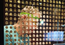 Lenborough Anglo-Saxon Hoard on Display